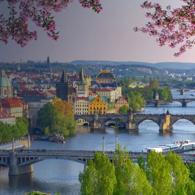 Descripción de la imagen 2