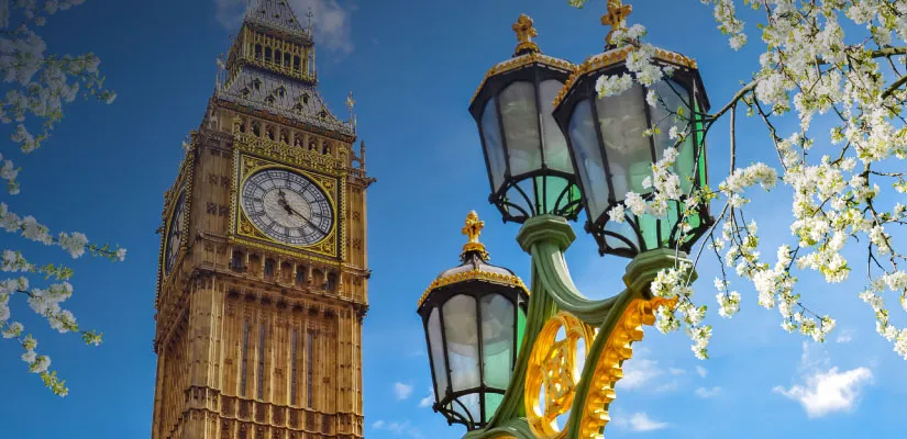 Descripción de la imagen 3